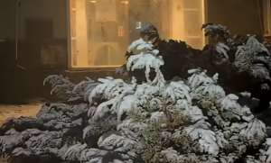 入冬最強大陸冷氣團襲台！玉山清晨降瑞雪、6縣市低溫特報　北台灣整日濕冷