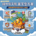 旺旺友聯針對高醫療國家的海外旅遊，推出防護升級的「寰宇型」旅平險方案。(圖/旺旺友聯提供)